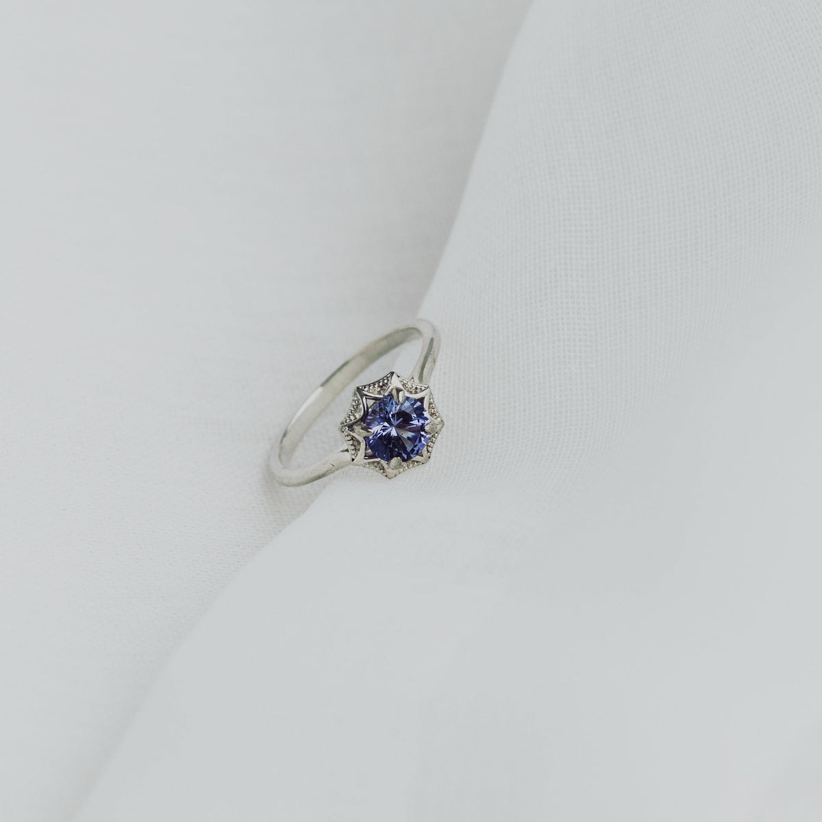 Web Ring