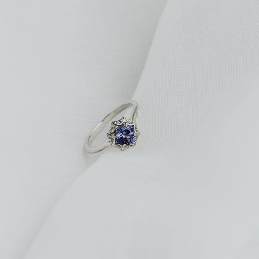 Web Ring